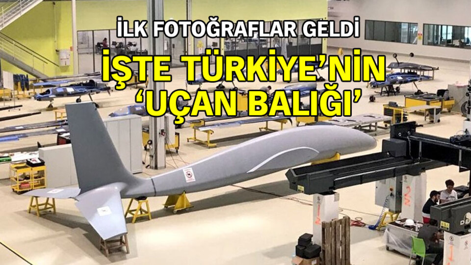 İşte Türkiye'nin 'uçan balığı'! İlk fotoğraflar geldi