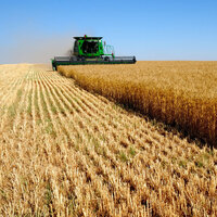 Tarım ÜFE mayısta azaldı