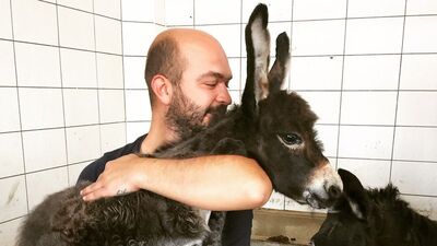 130 at ve eşek kurtardı