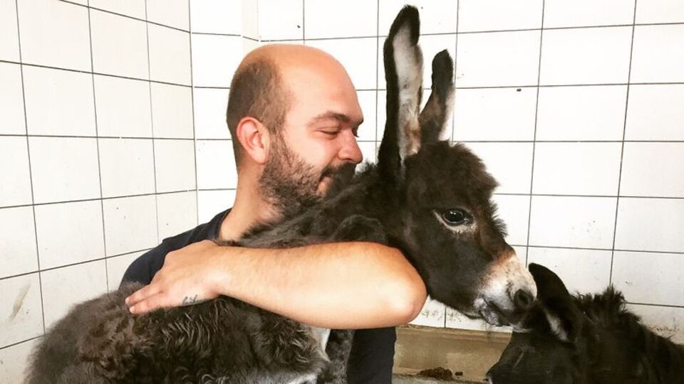 130 at ve eşek kurtardı