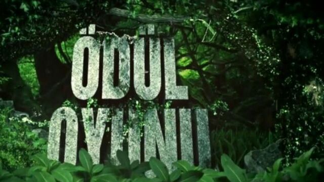Survivor New York ödülünü kim kazandı?