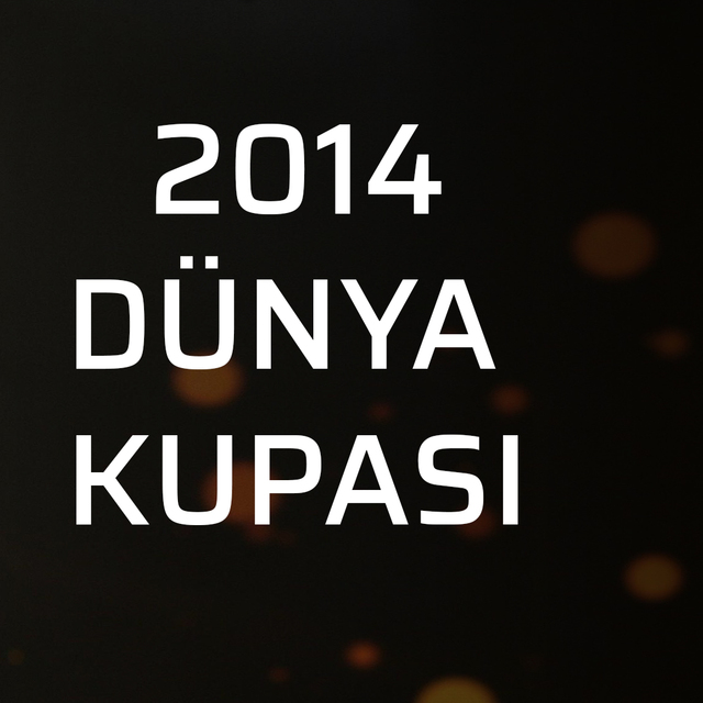 2014 Brezilya Dünya Kupası