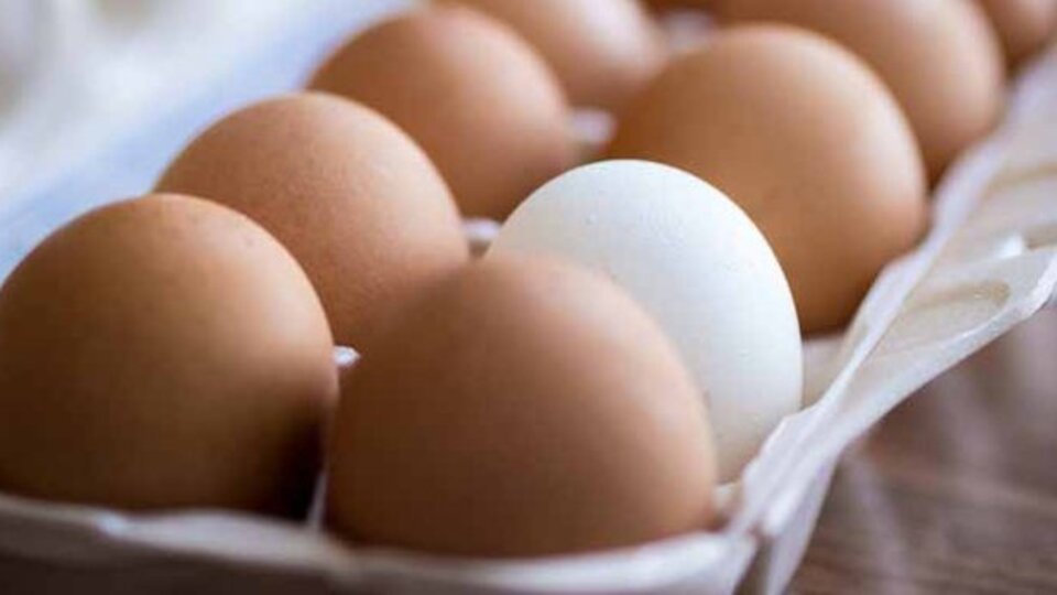 Şok! 4 milyon 300 bin yumurta geri toplatılıyor!