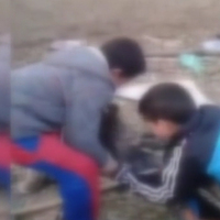 Sakarya'daki vahşetin ardından bir görüntü daha ortaya çıktı!