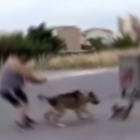 Bu nasıl insan! Çocukların gözü önünde köpeğine kediyi parçalattı