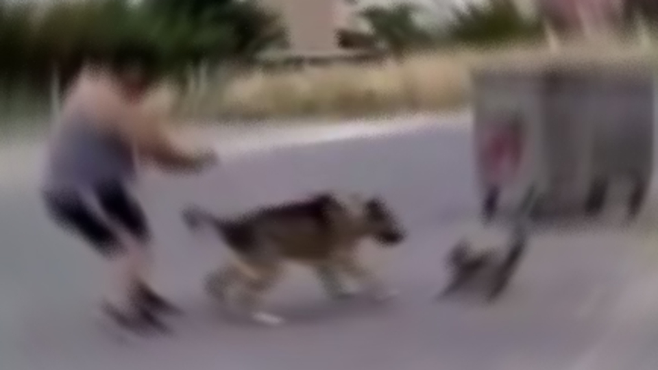 Bu nasıl insan! Çocukların gözü önünde köpeğine kediyi parçalattı