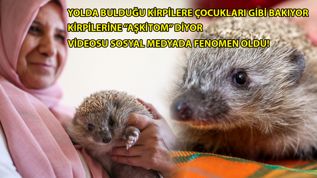 Yolda bulup bir kutuya koydu, kontrol etmek için baktığında şok oldu!
