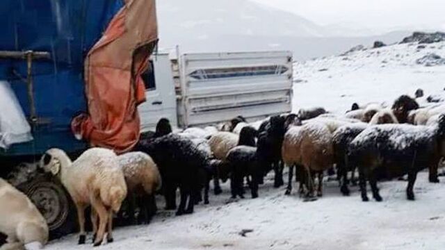 Mersin'de şaşkına çeviren görüntü! Kar yağdı...