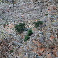 7 aylık hamile kadın fotoğraf çektirirken kayalıklardan düşerek öldü