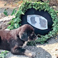 "İş makinesi olduğu kesin, acı görüntüler var"
