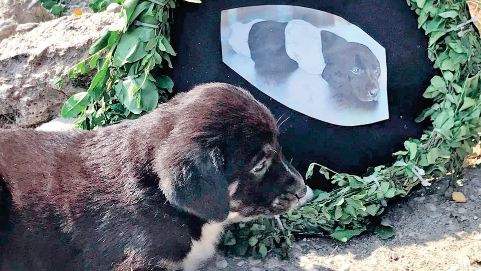 "İş makinesi olduğu kesin, acı görüntüler var"