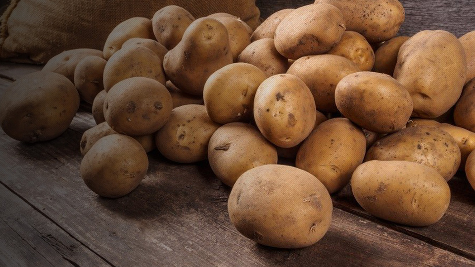 Tanesi 1 liraya yükseldi!