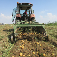 Patates fiyatları neden arttı?