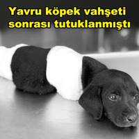 Kepçe operatörünün karısından isyan: Gerçek suçluyu bulun