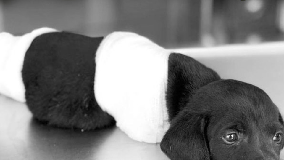 Kepçe operatörünün karısından isyan: Gerçek suçluyu bulun