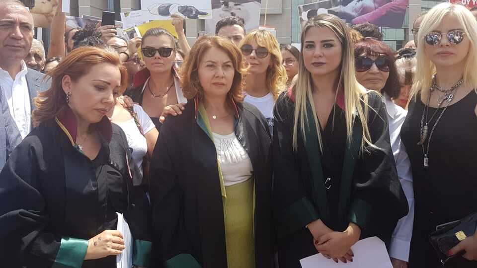 Türkiye çapında eylem yaptılar! Ünlüler de oradaydı...