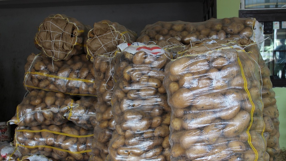 "Patates fiyatını hastalık artırdı"