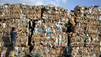 Geri dönüşümle 15 ayda 30 milyon ağaç kurtarıldı