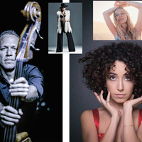 250 sanatçıyla caz ve dahası