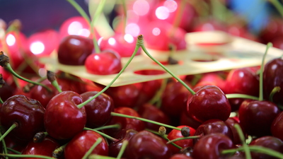 Türk kirazını alabilmek için sıraya girdiler!