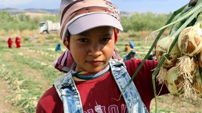 'Fiyatlar 1 haftaya düşer'
