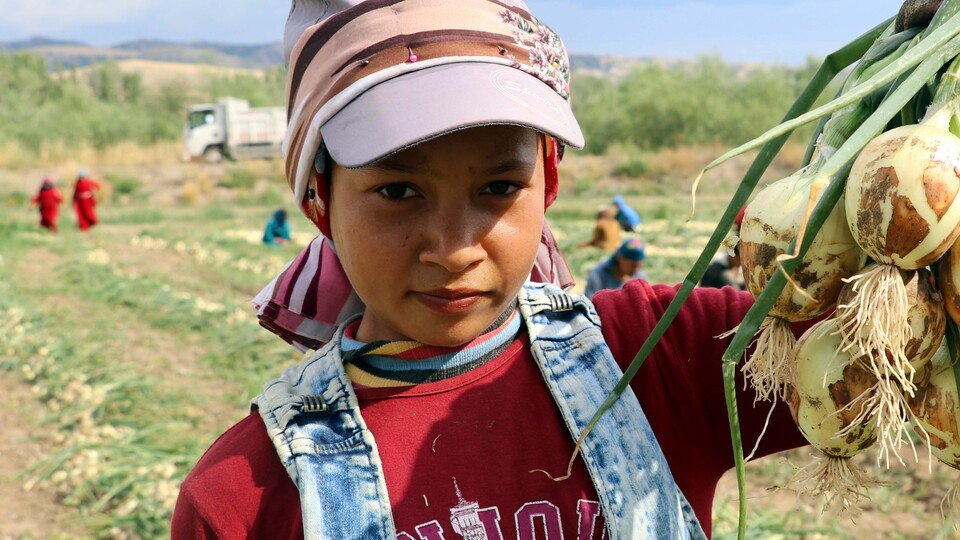 'Fiyatlar 1 haftaya düşer'