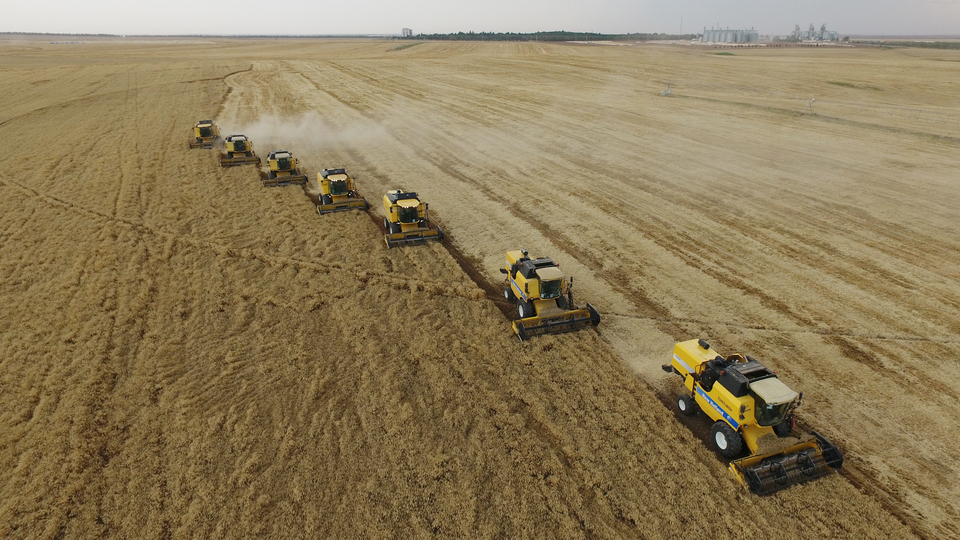 Yağmur yağdı, kayıp yüzde 50'yi buldu