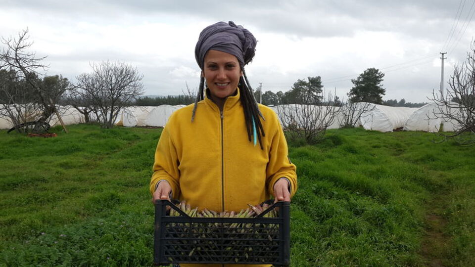 Elibelinde kuşkonmazlar