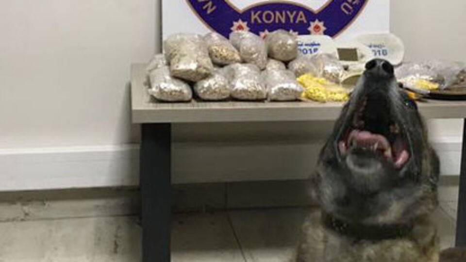 Uyuşturucuyla mücadeleye 5 yılda 270 milyon liralık yatırım