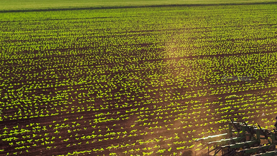 Tarım Arazileri Yönetmeliği yürürlükten kaldırıldı