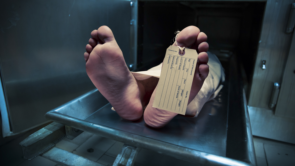 Her gün 300 kişi bu sebepten ölüyor!