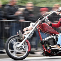 Trump'tan Harley-Davidson'a sert tepki