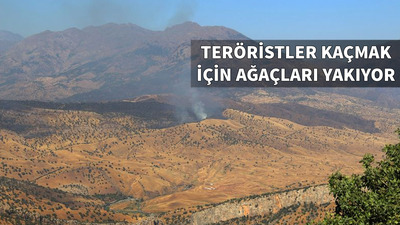 TSK Kandil'e ilerliyor! Kanireş tamamen temizlendi