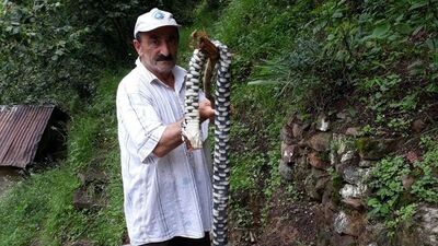 Herkes korumaya çalışıyordu, o öldürdü!