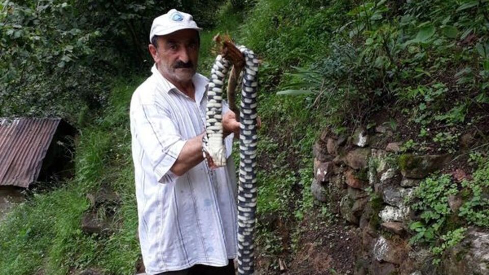 Herkes korumaya çalışıyordu, o öldürdü!