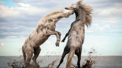 İşte en güzel doğa fotoğrafı