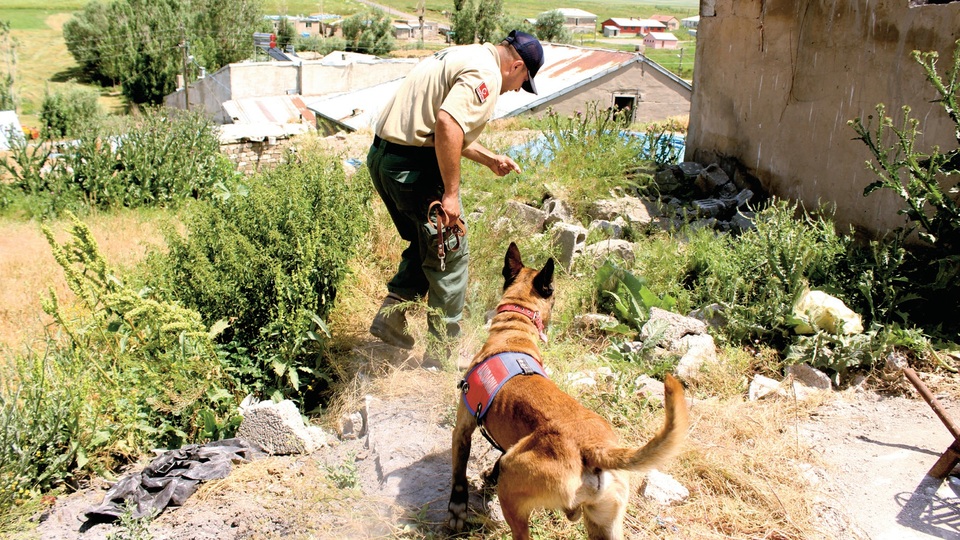 Leyla ve Eylül hâlâ aranıyor