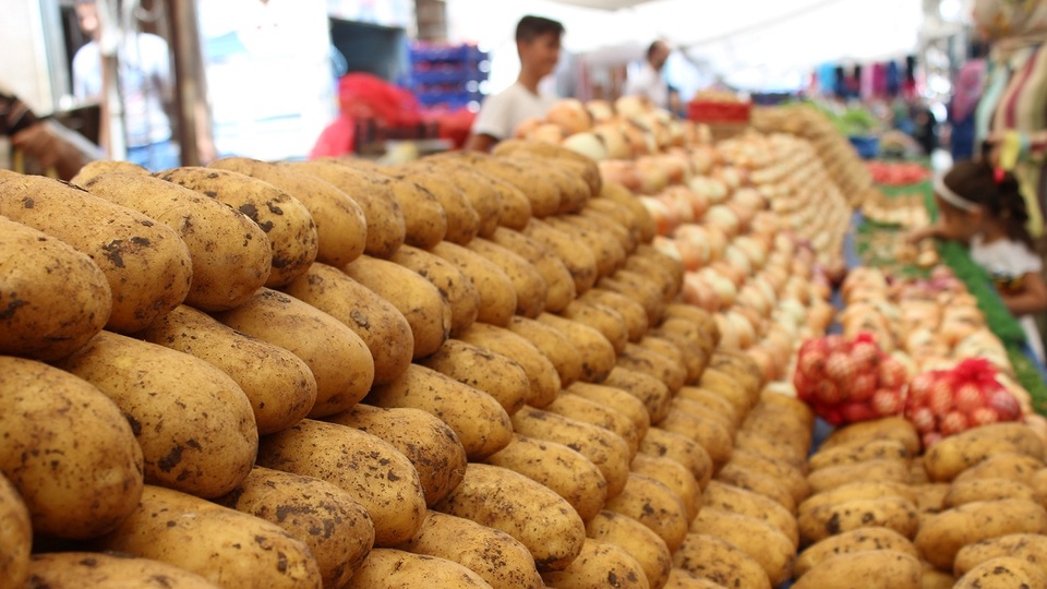 TZOB başkanı açıkladı! Patates ve soğan fiyatı ne zaman düşecek?