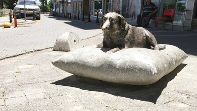 Tokyo'da Hachiko Moda'da Tarçın