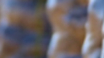 Patateste üretici fiyatı düşüşe geçti