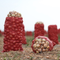 Haziran ayının zam şampiyonu soğan oldu