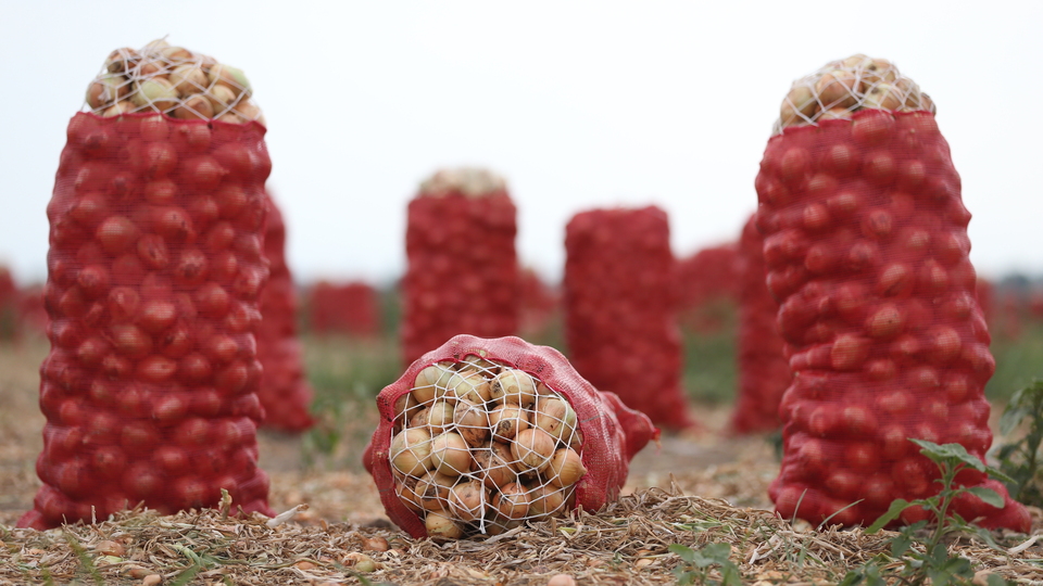 Haziran ayının zam şampiyonu soğan oldu