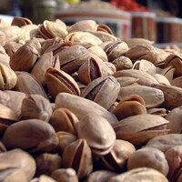 Gaziantep'te yılın ilk Antep fıstığı hasat edildi