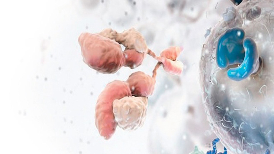 Kanseri 'yiyerek yok eden' ilaç üretildi!