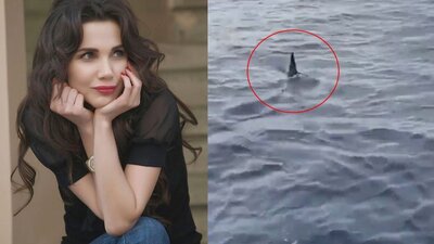 Ünlü oyuncudan 'köpekbalığı' açıklaması