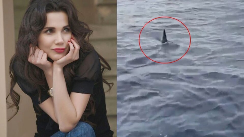 Ünlü oyuncudan 'köpekbalığı' açıklaması