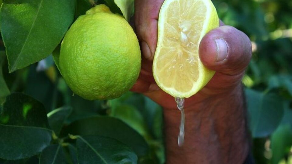 Bileğinize limon suyu damlatıp bekleyin!