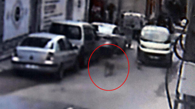Polis gibi iz sürdü, korkunç olayı ortaya çıkardı!