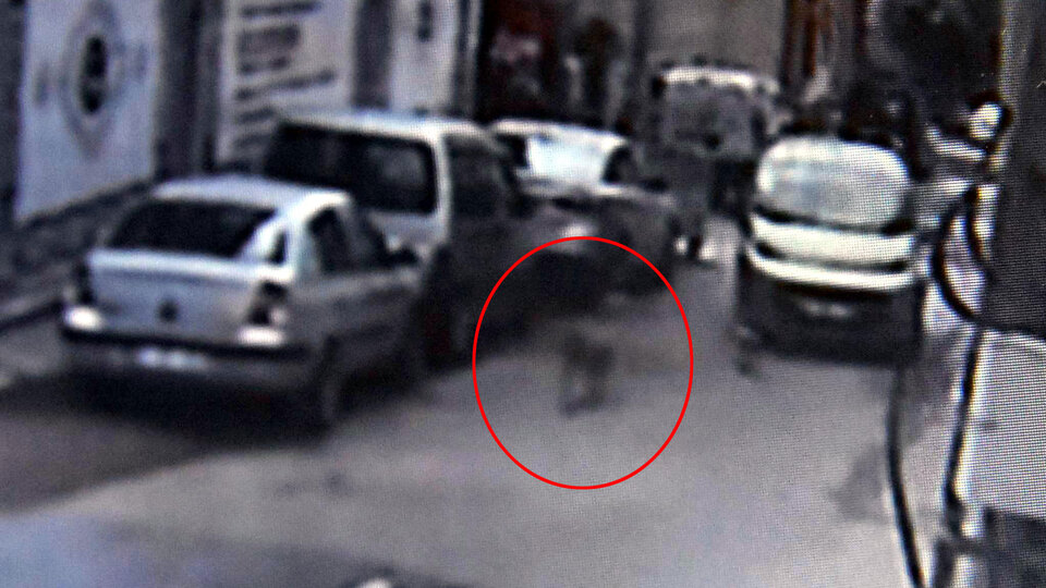 Polis gibi iz sürdü, korkunç olayı ortaya çıkardı!