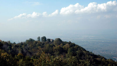 3 yıldır aranıyordu! Ormanlık arazide bulundu...